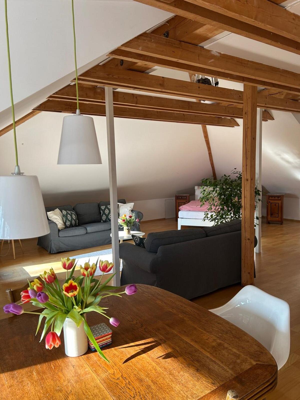 Grosse Wohnung Mit Dachterrasse In Starnberg Exterior photo